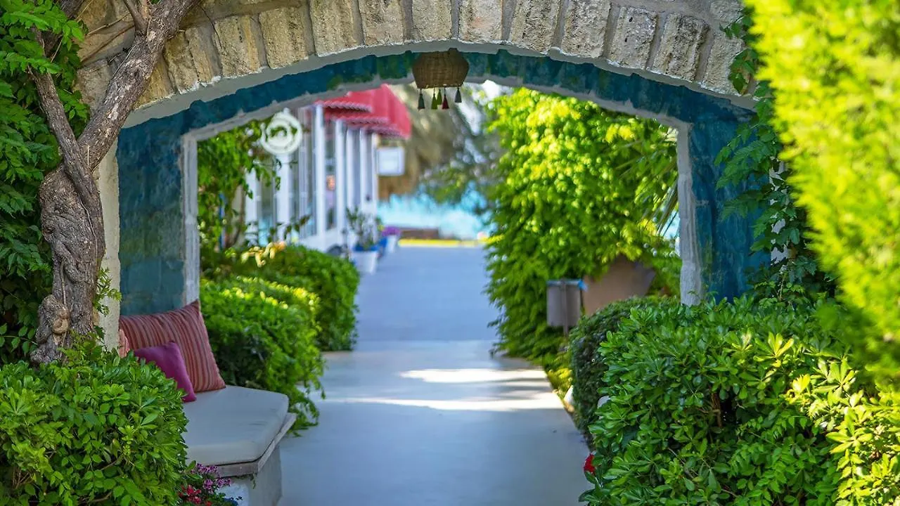 Toka Bodrum Hotel & Beach Club Türkiye