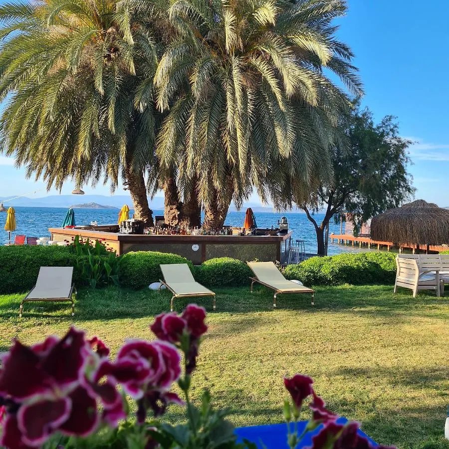 Toka Bodrum Hotel & Beach Club 3*,