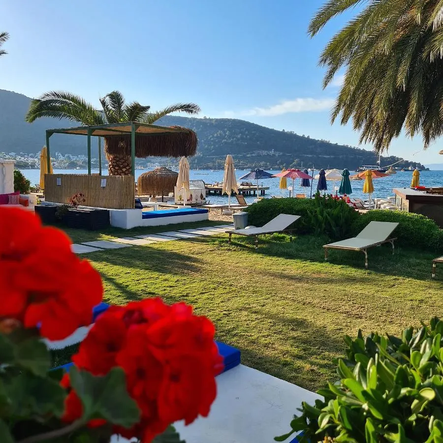Toka Bodrum Hotel & Beach Club